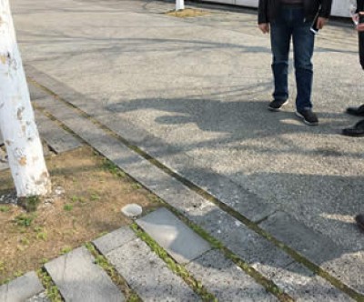 江蘇紫金山透水鋪裝案例